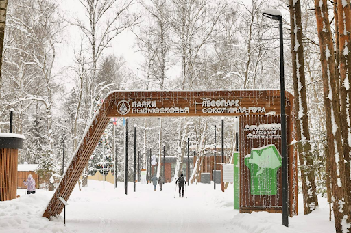 Лесопарк «Соколиная гора» в Истре ждет вас: идеальное время для лыжных прогулок и ярких фотосессий — фото 1