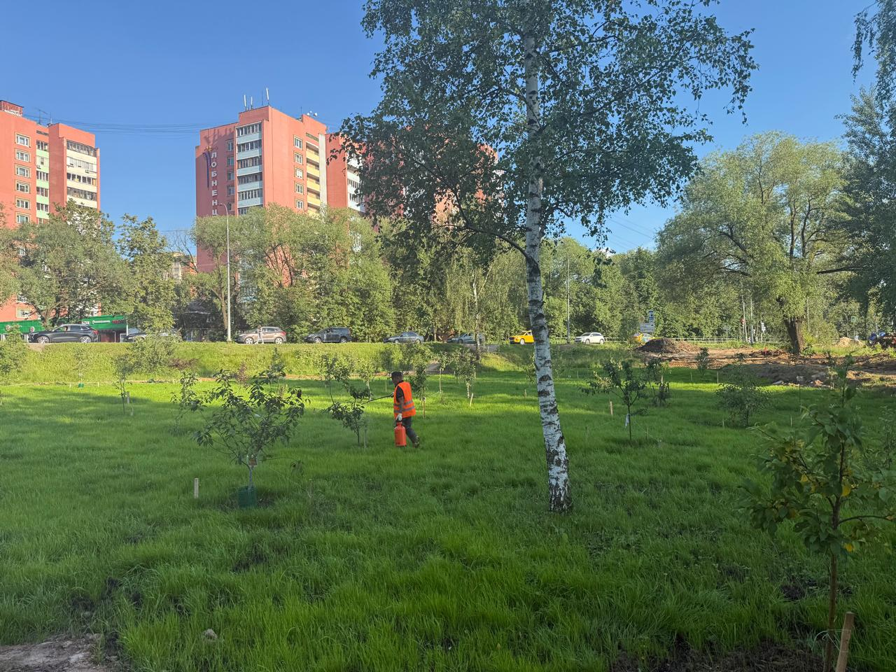 В Лобне продолжается благоустройство парка Защитников Москвы: реставрация монумента, новые спортивные зоны и современная инфраструктура — фото 4