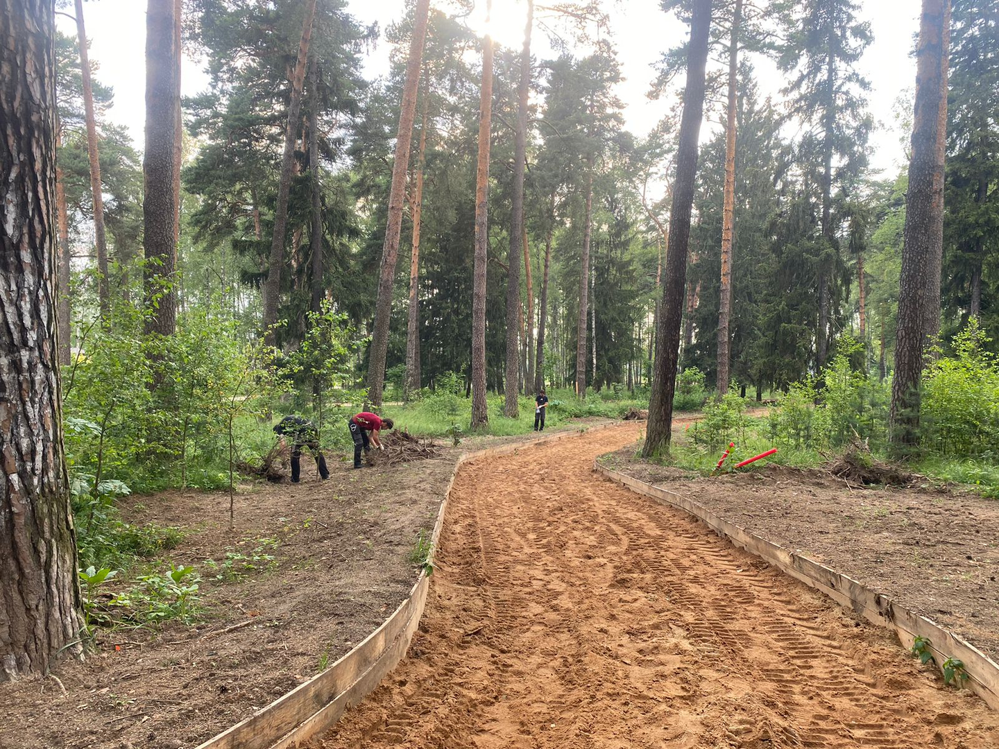 В Красноармейске продолжается благоустройство общественной территории «Банный лес» в рамках комплексного проекта по улучшению городской среды — фото 4