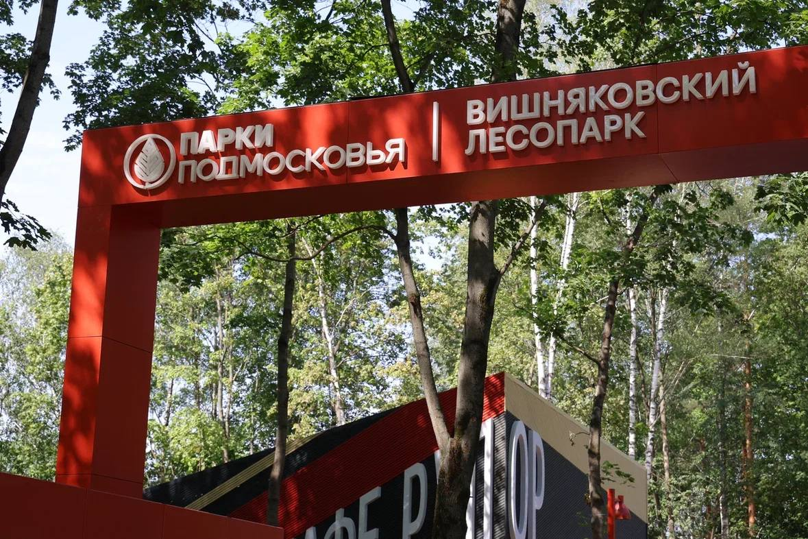 Вишняковский лесопарк: комплексное благоустройство и развитие общественного пространства продолжается — фото 1