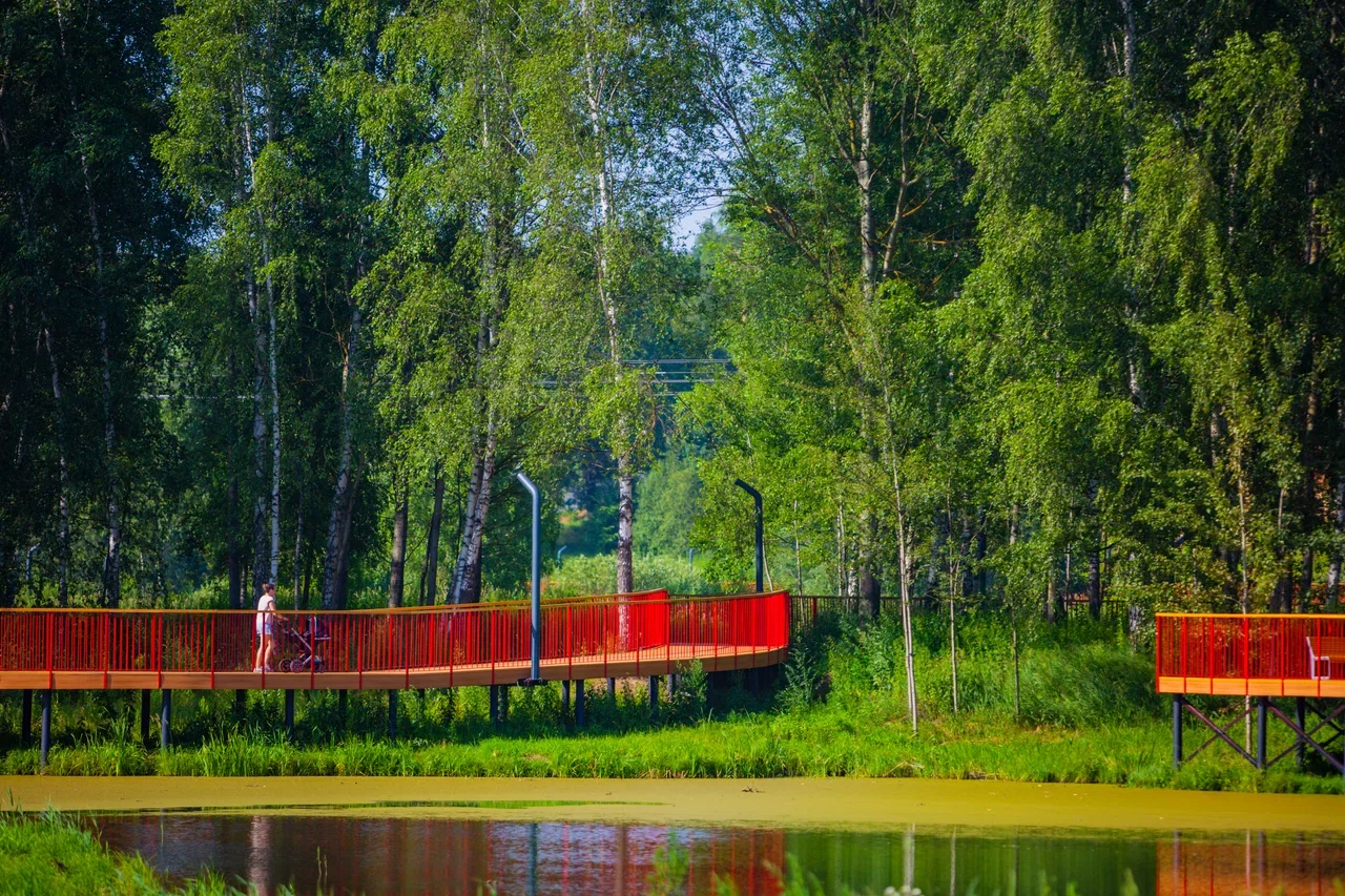 «Культурный код Подмосковья» в благоустроенных парках: традиции, технологии и современный формат досуга — фото 3