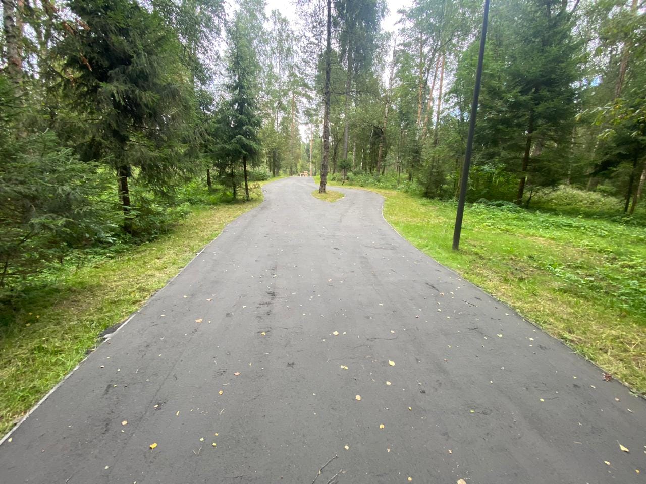 Благоустройство общественной территории в «Банном лесу», г. Красноармейск — фото 1