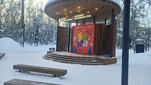 Снегопады в Подмосковье: РОСТ обеспечивает комфорт в непогоду — фото 1