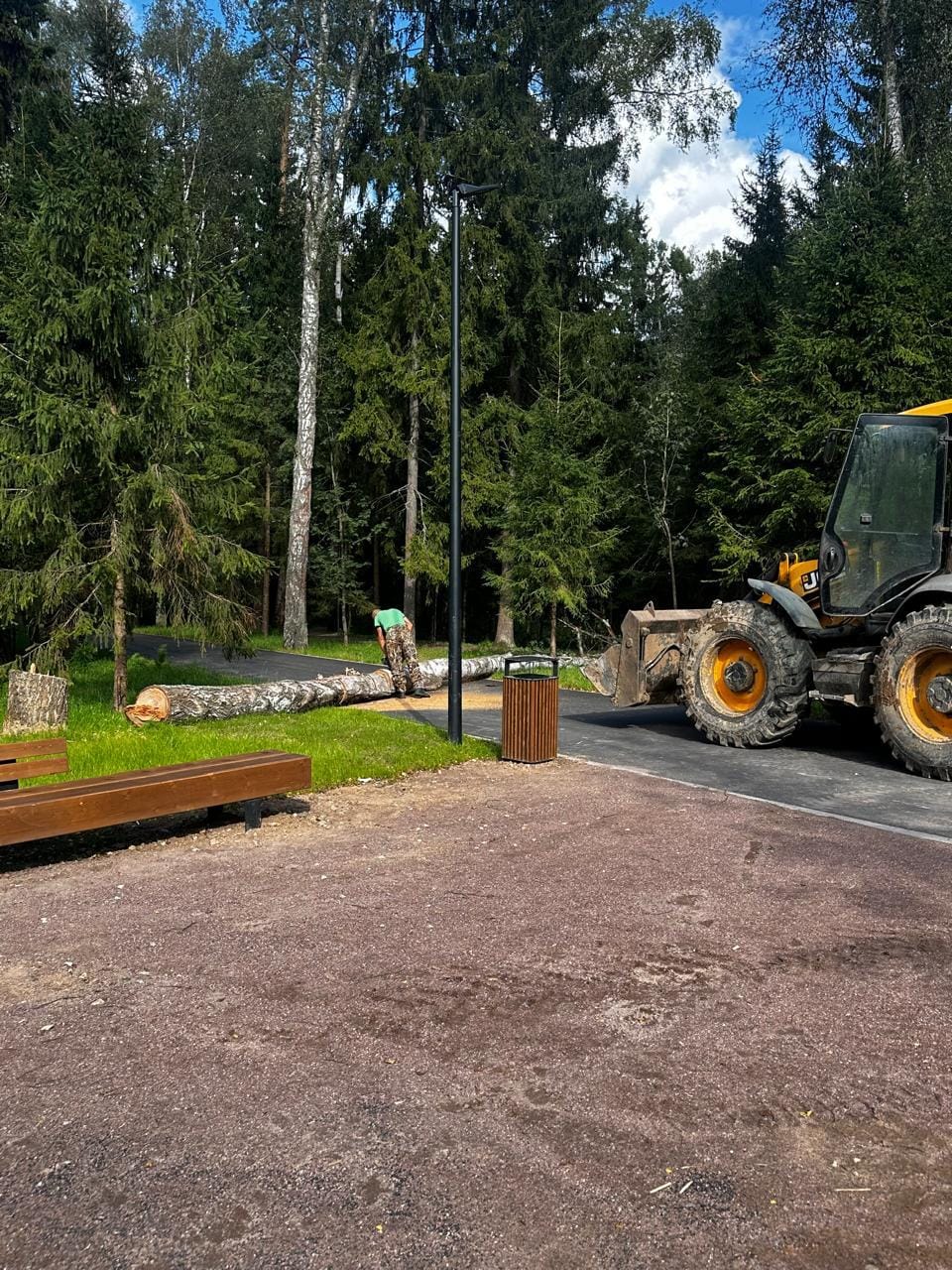 Лесопарк «Соколка» в Истре: благоустройство и создание современной рекреационной зоны — фото 1