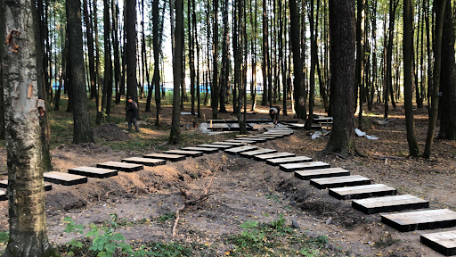 Красноармейск: Комплексное благоустройство парка “Банный лес” — фото 3