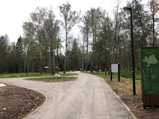 Соколка преображается: масштабное благоустройство лесопарка в Истре — фото 3