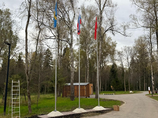 Лесопарк 