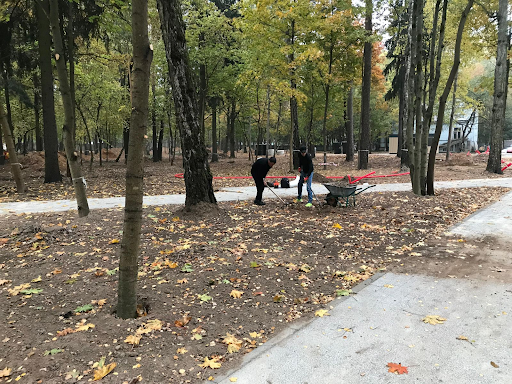 Парк «Папанинская дача» в г. Королёве: комплексное благоустройство в действии — фото 2