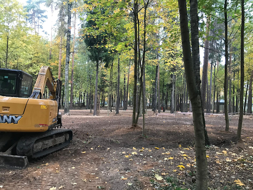 Парк «Папанинская дача» в г. Королёве: комплексное благоустройство в действии — фото 4