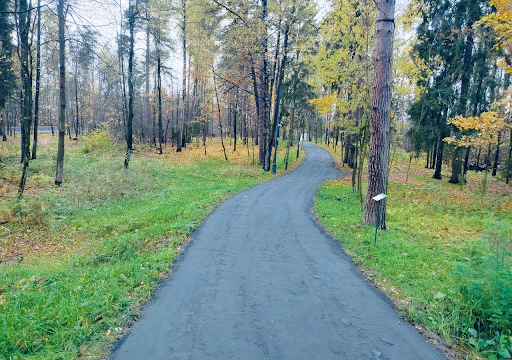 Благоустройство Вишняковского лесопарка: второй этап работ — фото 1