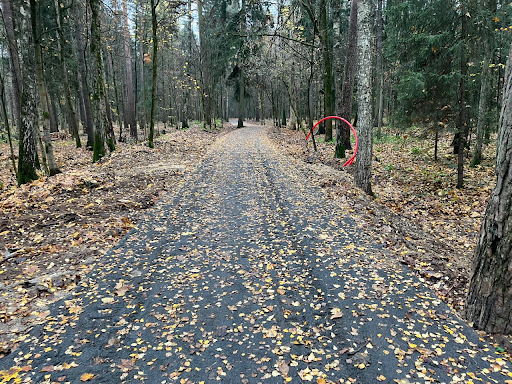 Второй этап благоустройства Вишняковского лесопарка — фото 5