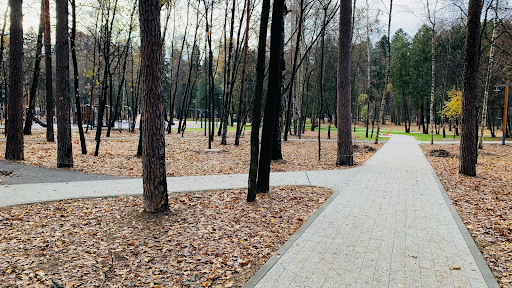 В Королёве завершается масштабное благоустройство парка «Папанинская дача» — фото 6
