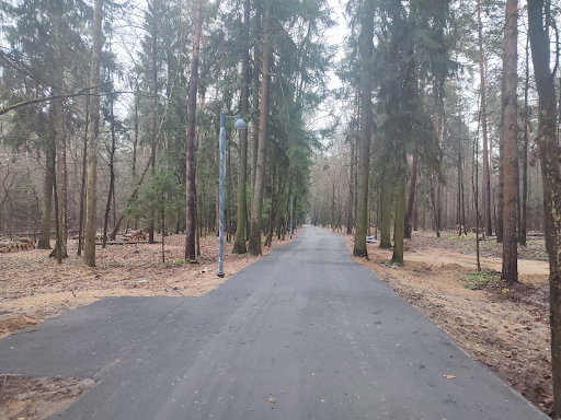 Вишняковский лесопарк становится ещё лучше: второй этап благоустройства продолжается — фото 4