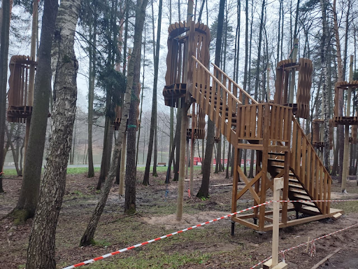 Благоустройство Вишняковского лесопарка в Балашихе выходит на новый этап — фото 1