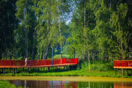 5 вёрст теперь в Городском парке Ивантеевка: новые горизонты для активного отдыха — фото 2