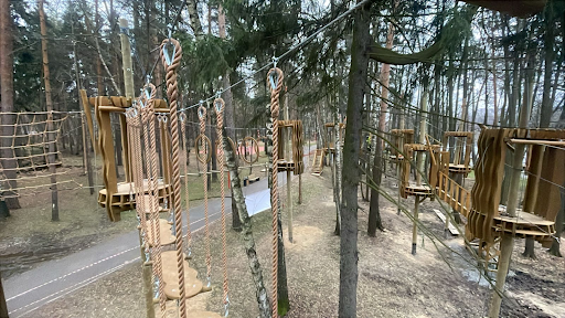 Второй этап благоустройства Вишняковского лесопарка: новые объекты в восточной части — фото 1