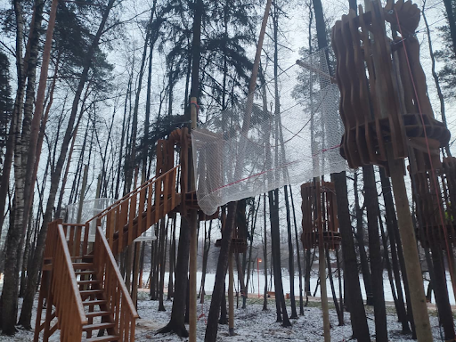 Масштабное благоустройство Вишняковского лесопарка: что сделано и что впереди — фото 1