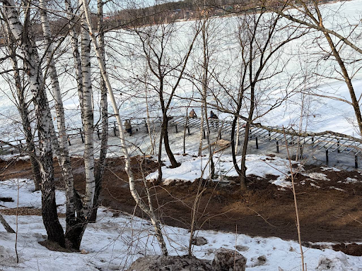 Кореневский карьер в Люберцах: преображение продолжается — фото 5