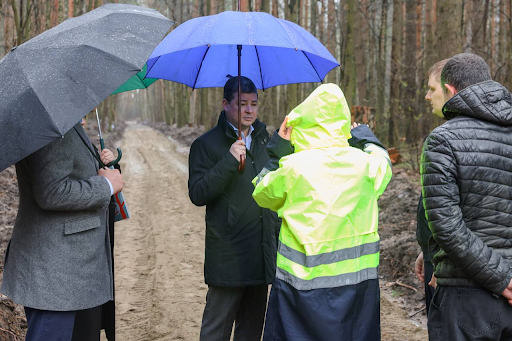 Благоустройство в Раменском городском округе: парки и лесопарки обретают новую жизнь — фото 5