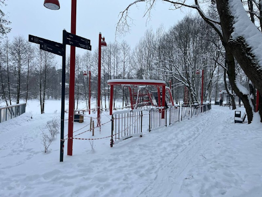 Благоустройство Вишняковского лесопарка продолжается в Балашихе — фото 1