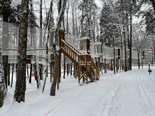 Благоустройство Вишняковского лесопарка продолжается в Балашихе — фото 3