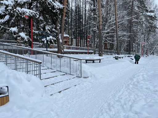 Благоустройство Вишняковского лесопарка продолжается в Балашихе — фото 4